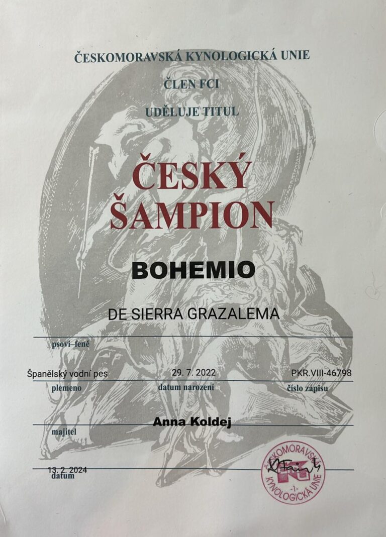 ebe95776-bedf-48d4-9994-ccfd01f2adad