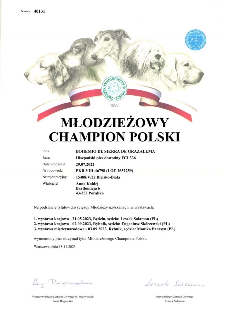 fda90baa-80a1-4313-8a61-ae3148245357